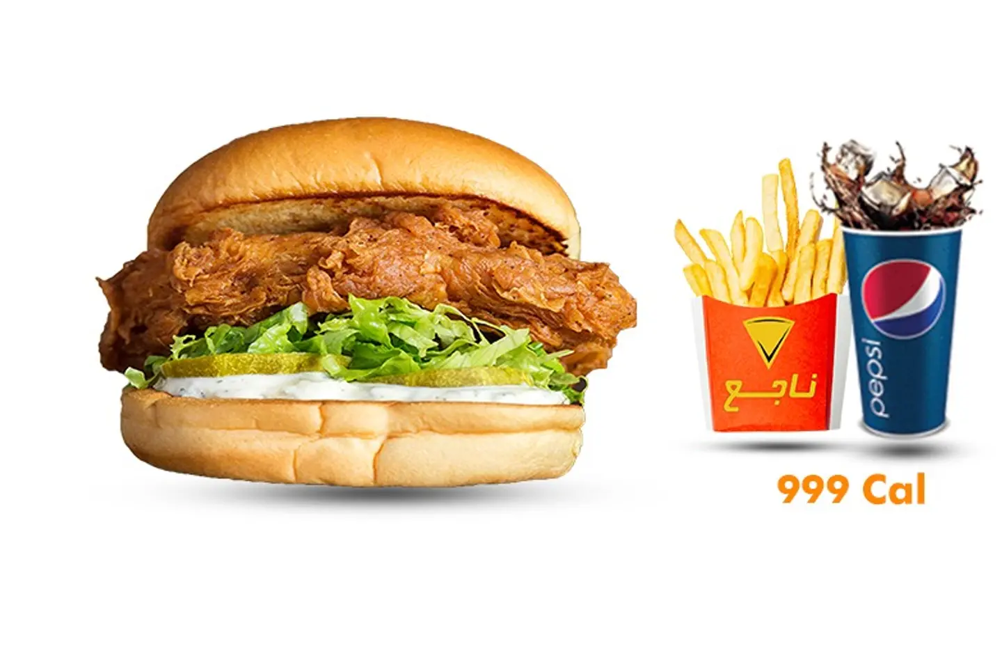 Crispy Chicken Meal (Regular)