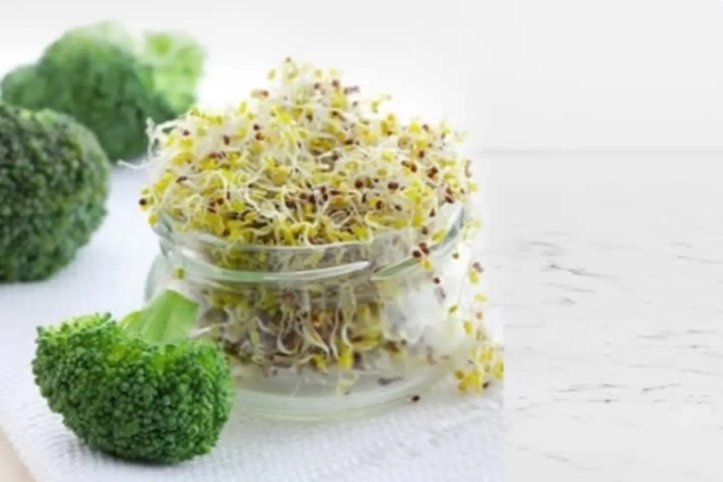 Candida Detox