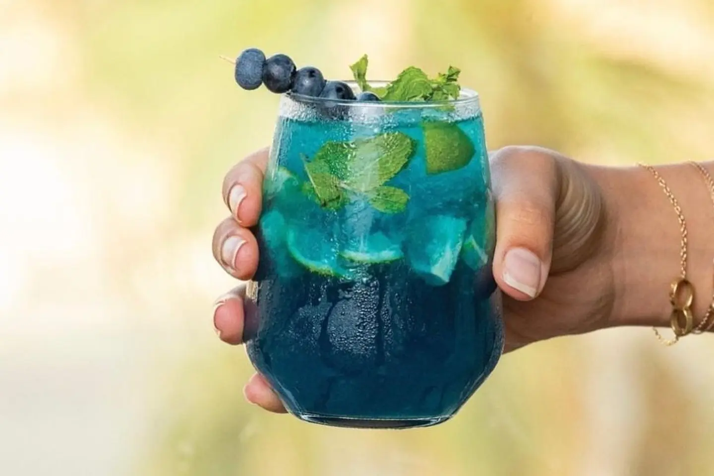 Blueberry Mojito