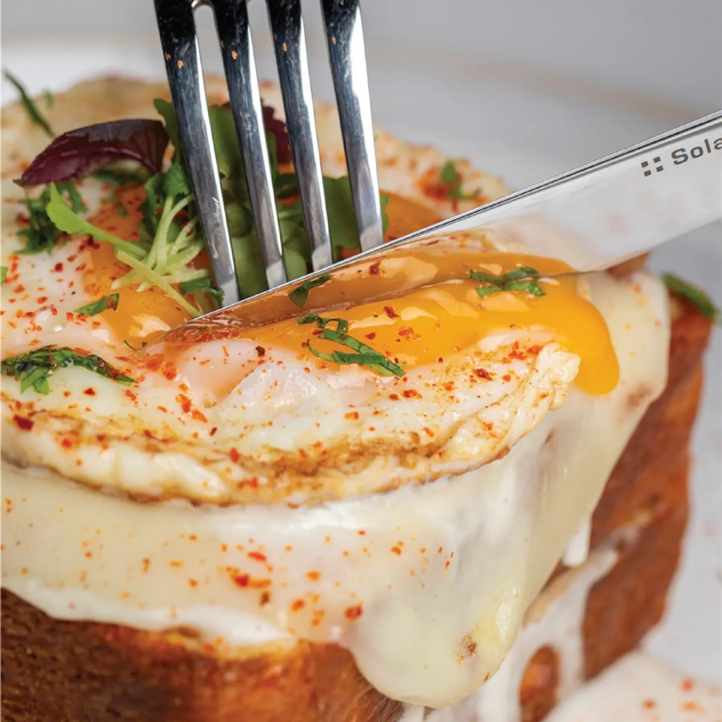 Croque Madam