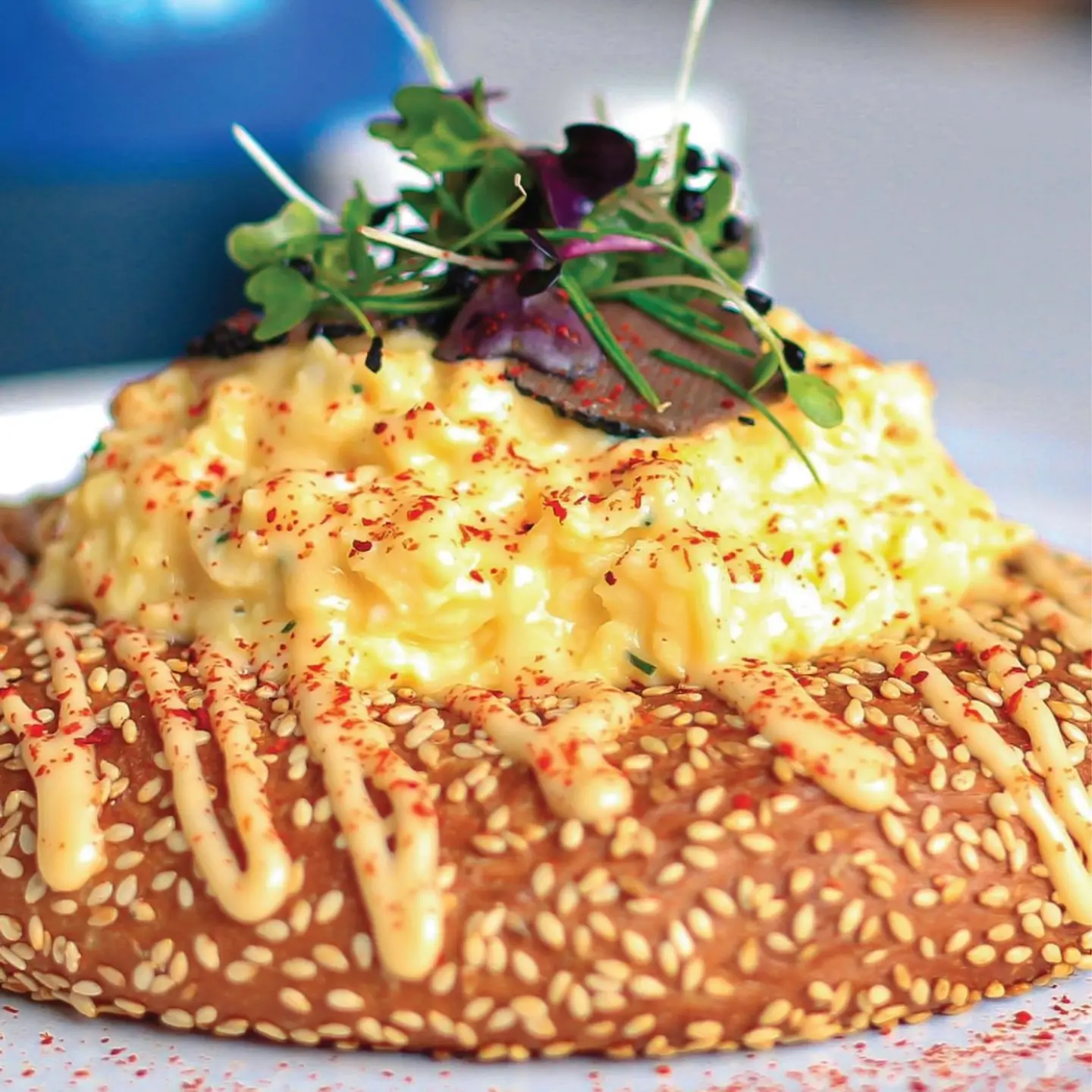 Truffle Scramble Egg