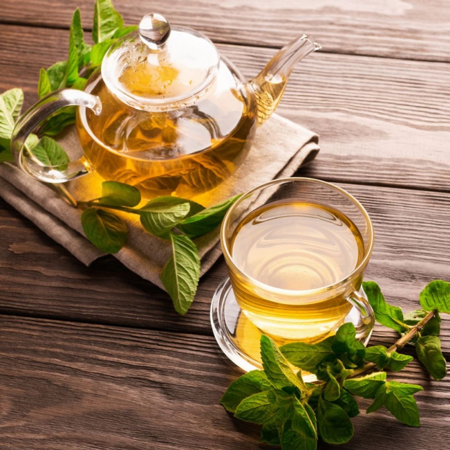 نعناع سادة1 لتر + ترمس