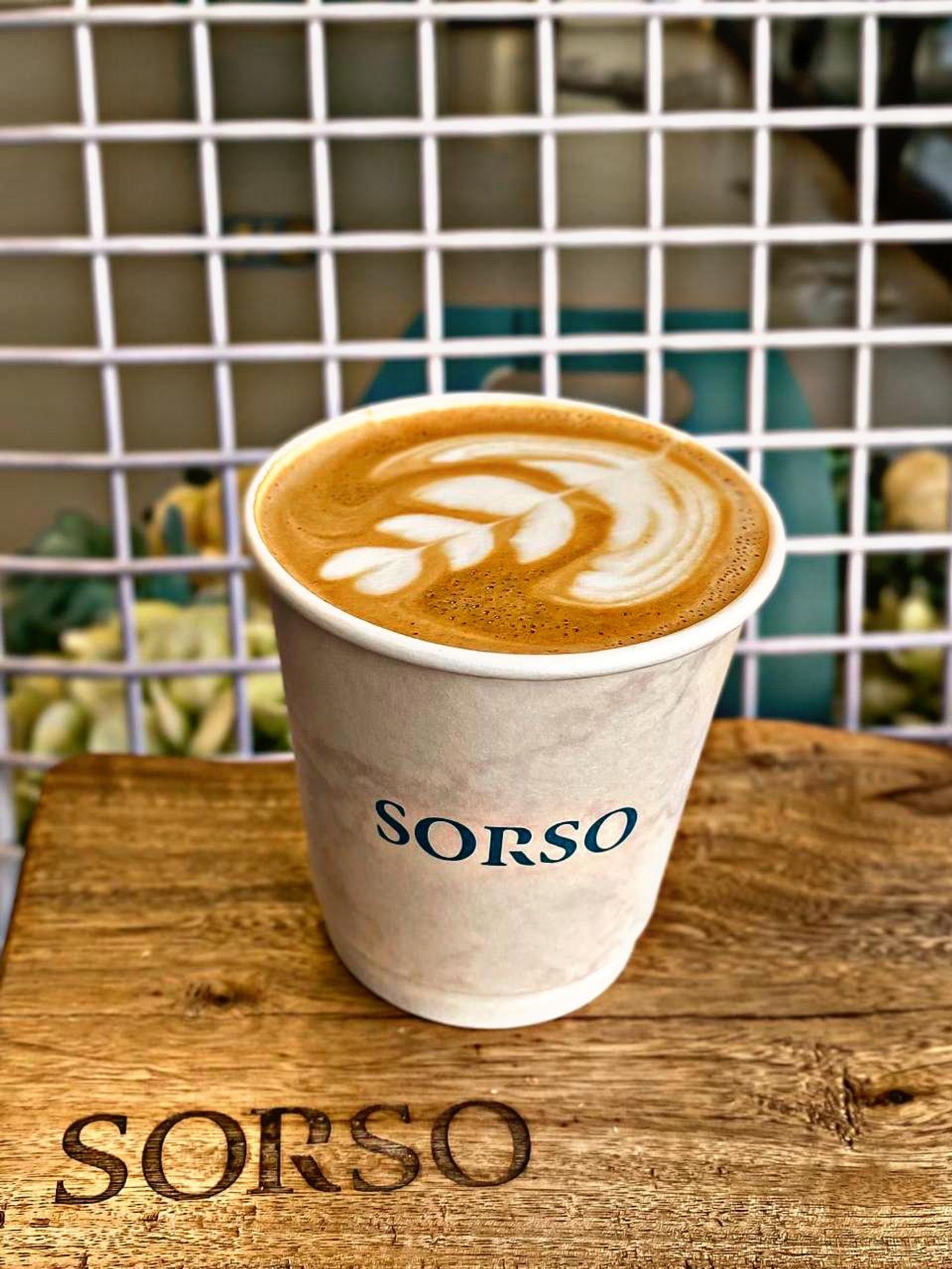 Hot Sorso Latte