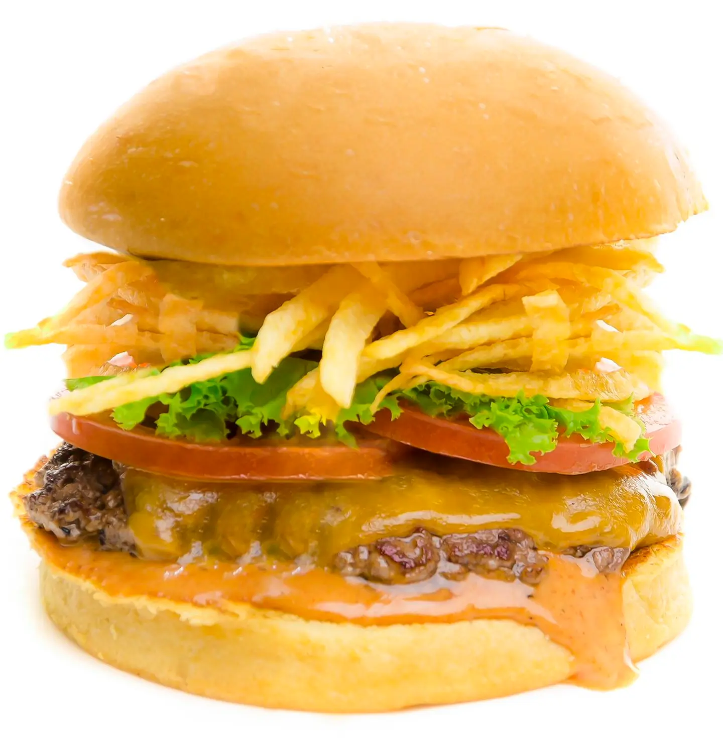 Double Cheese Chicken Burger