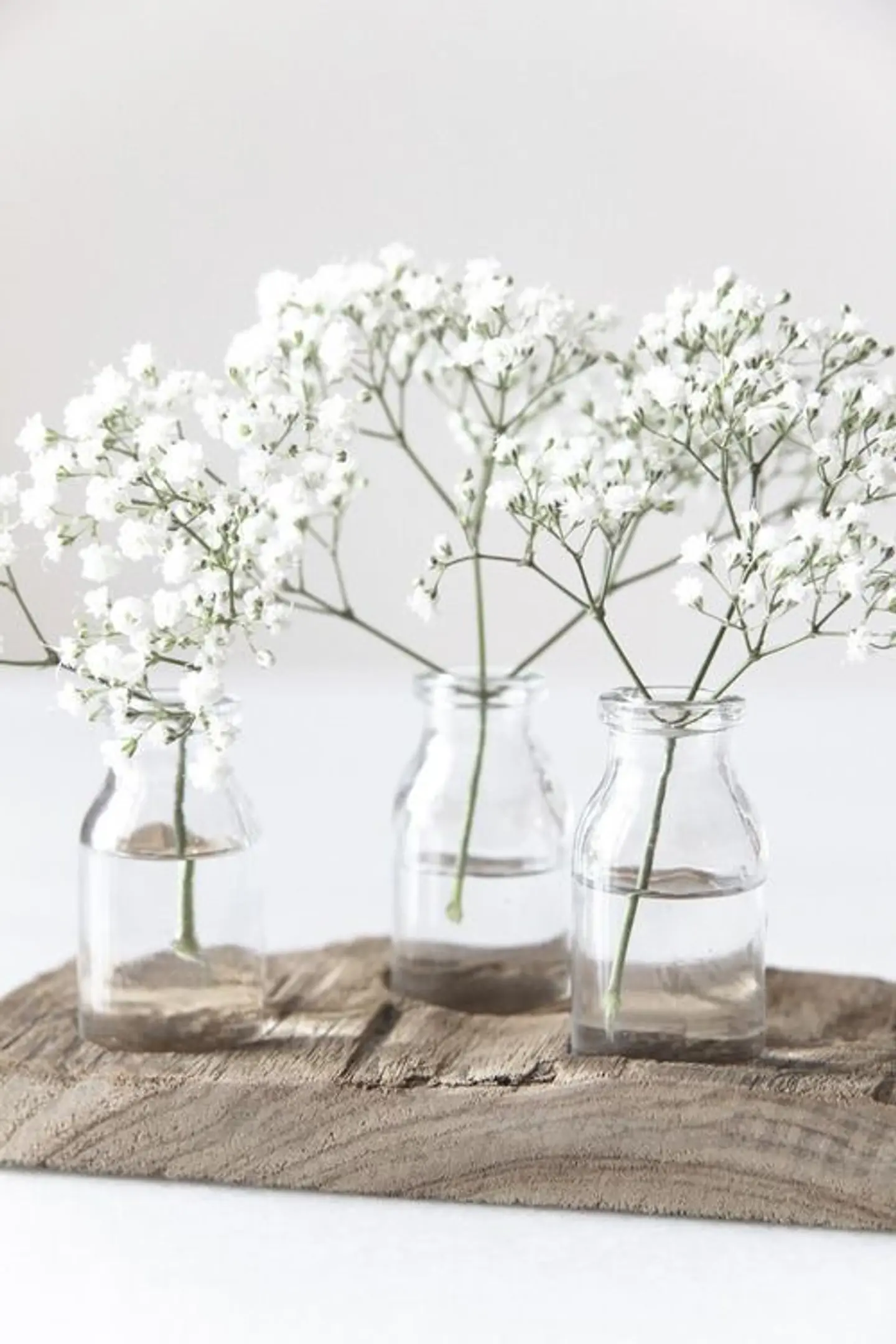 Sprig Gypsophila