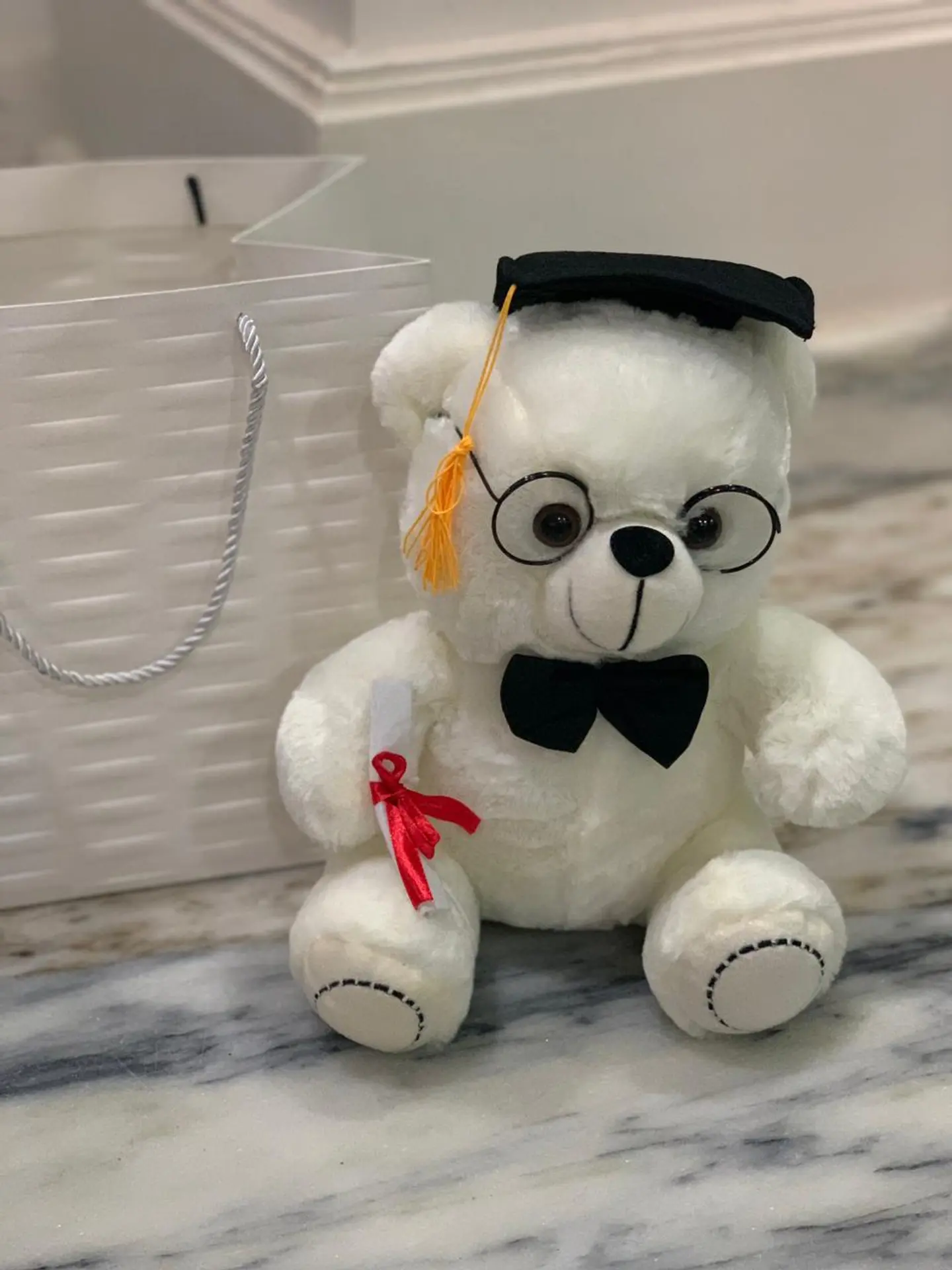 Graduating Teddy Bear