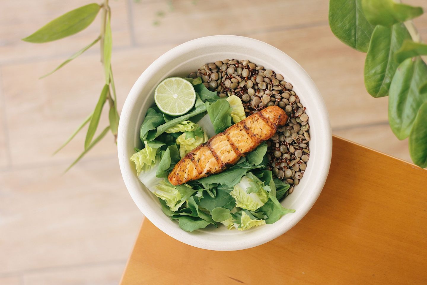 Salmon Power