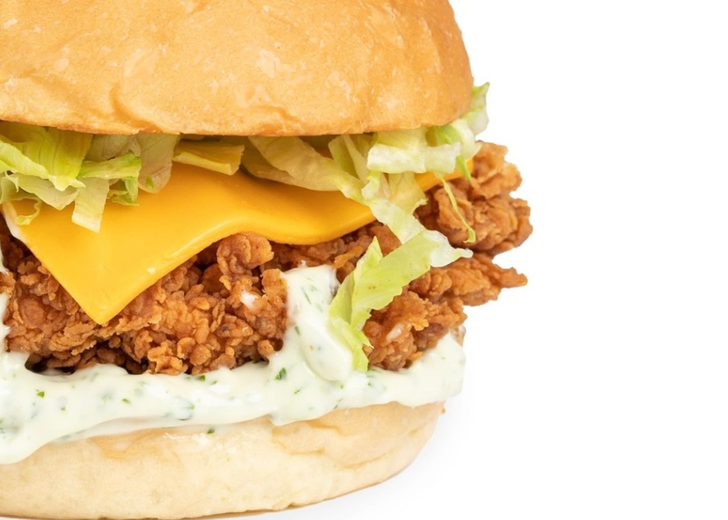 Crispy Burger