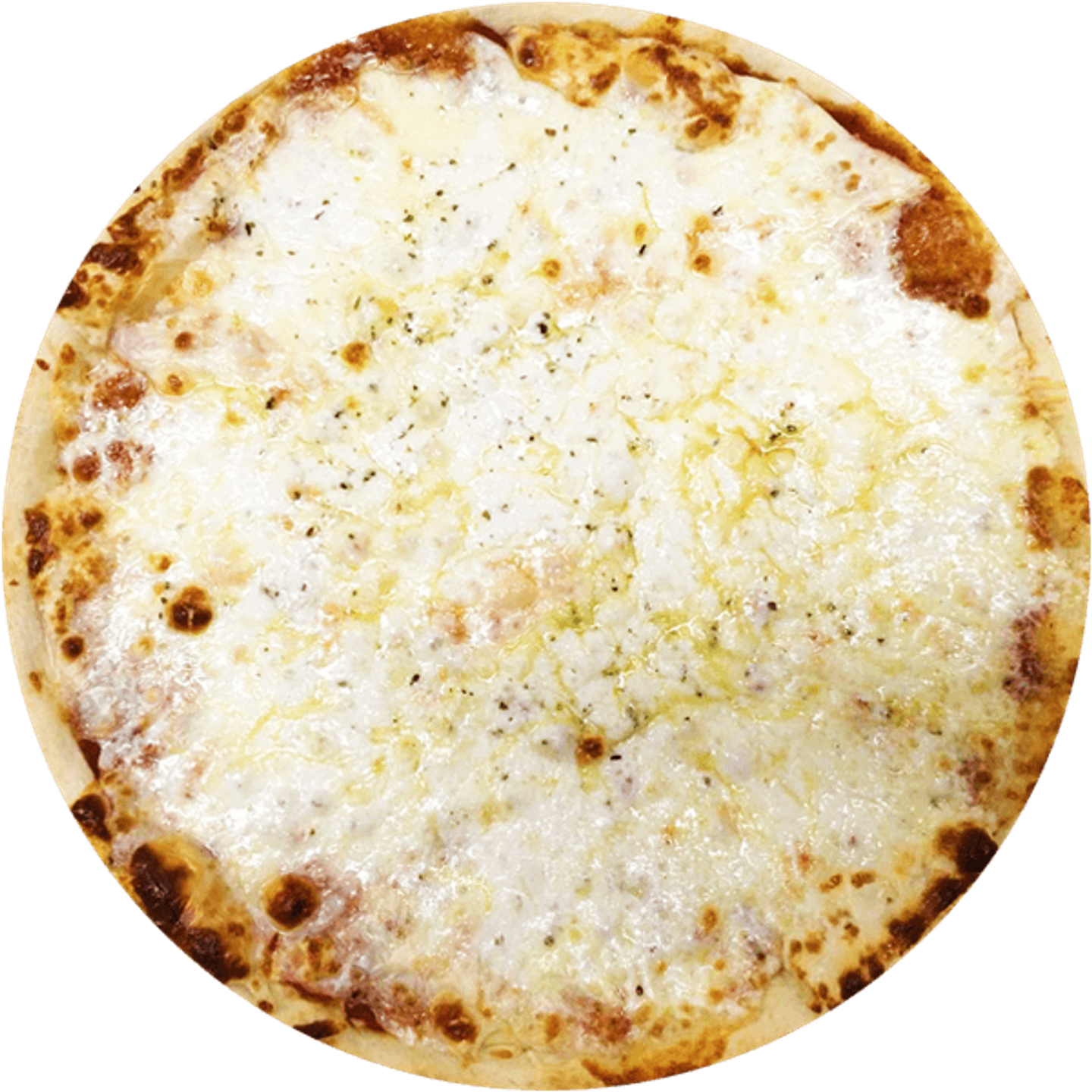 لبنة مع جبنة