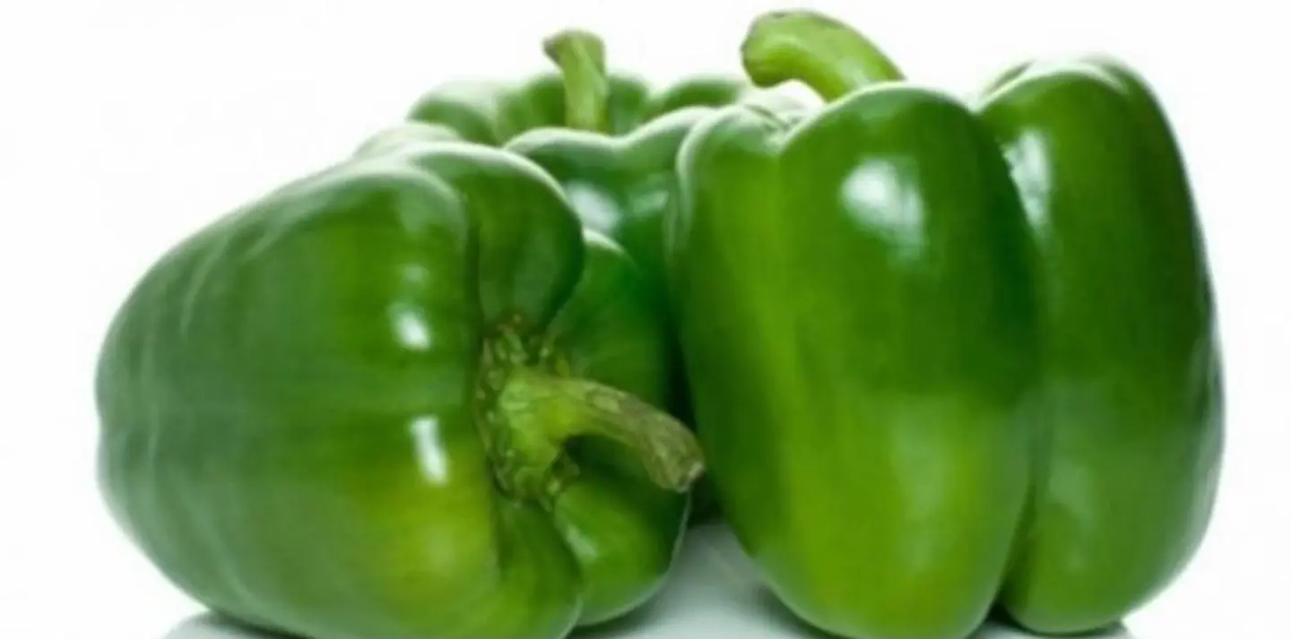 فلفل رومي أخضر