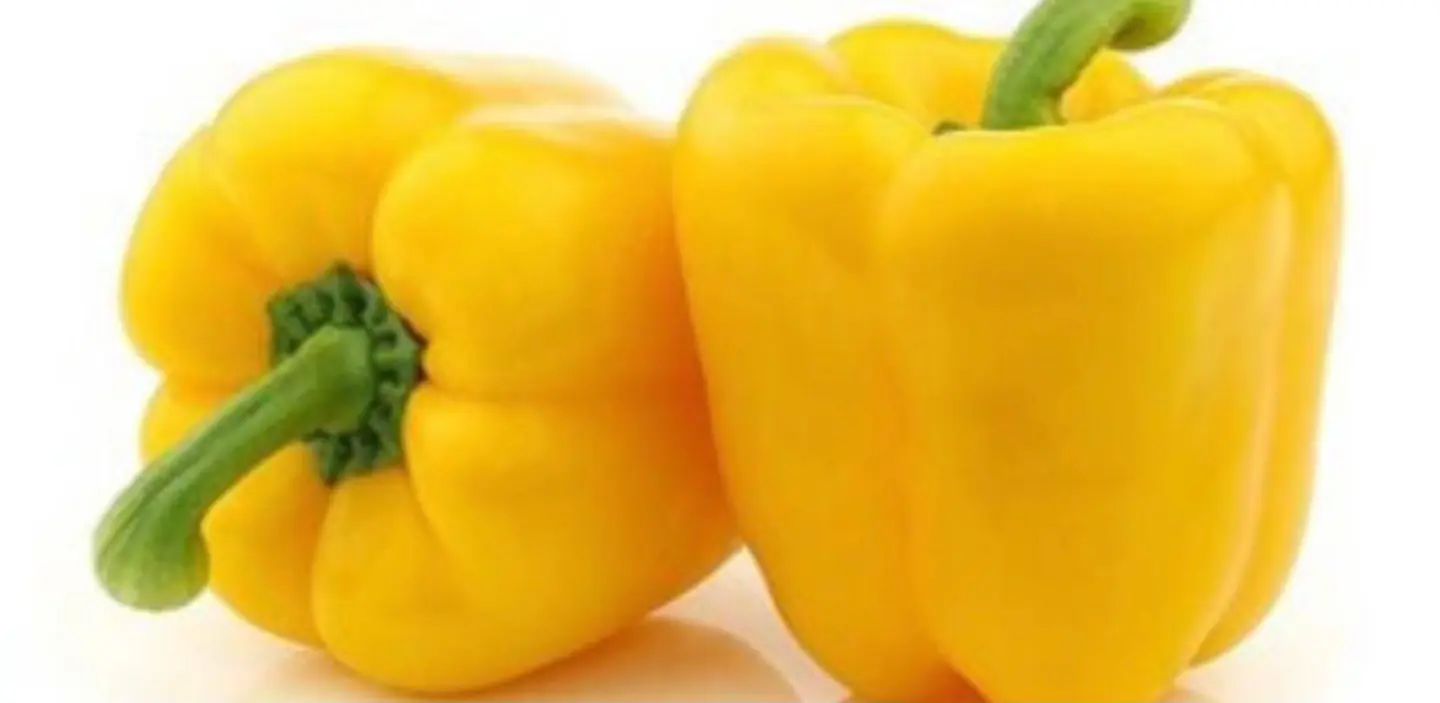 فلفل رومي أصفر