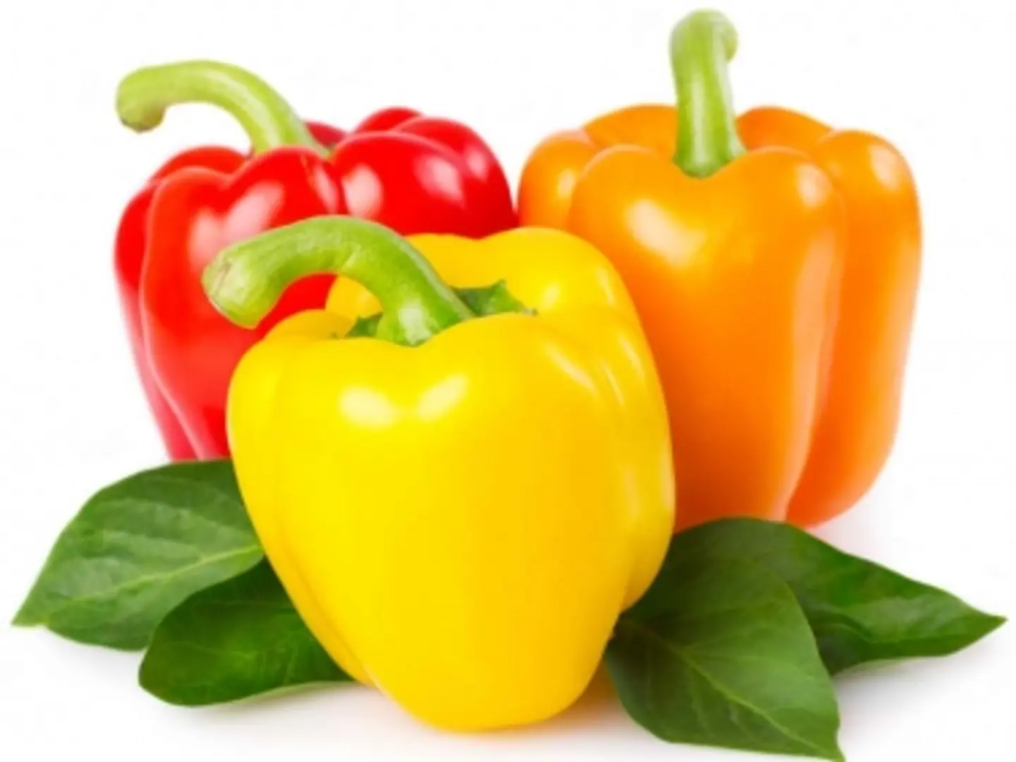 فلفل رومي مكس