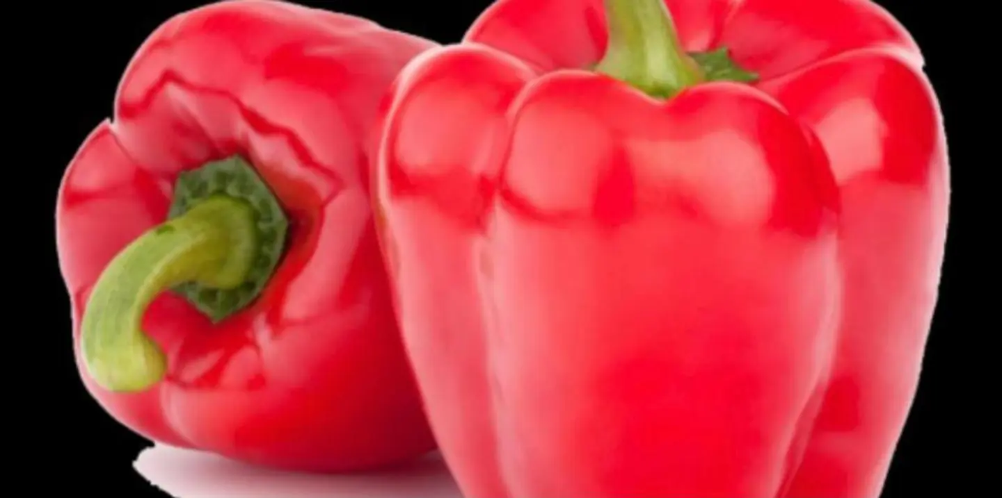 فلفل الخرج أحمر