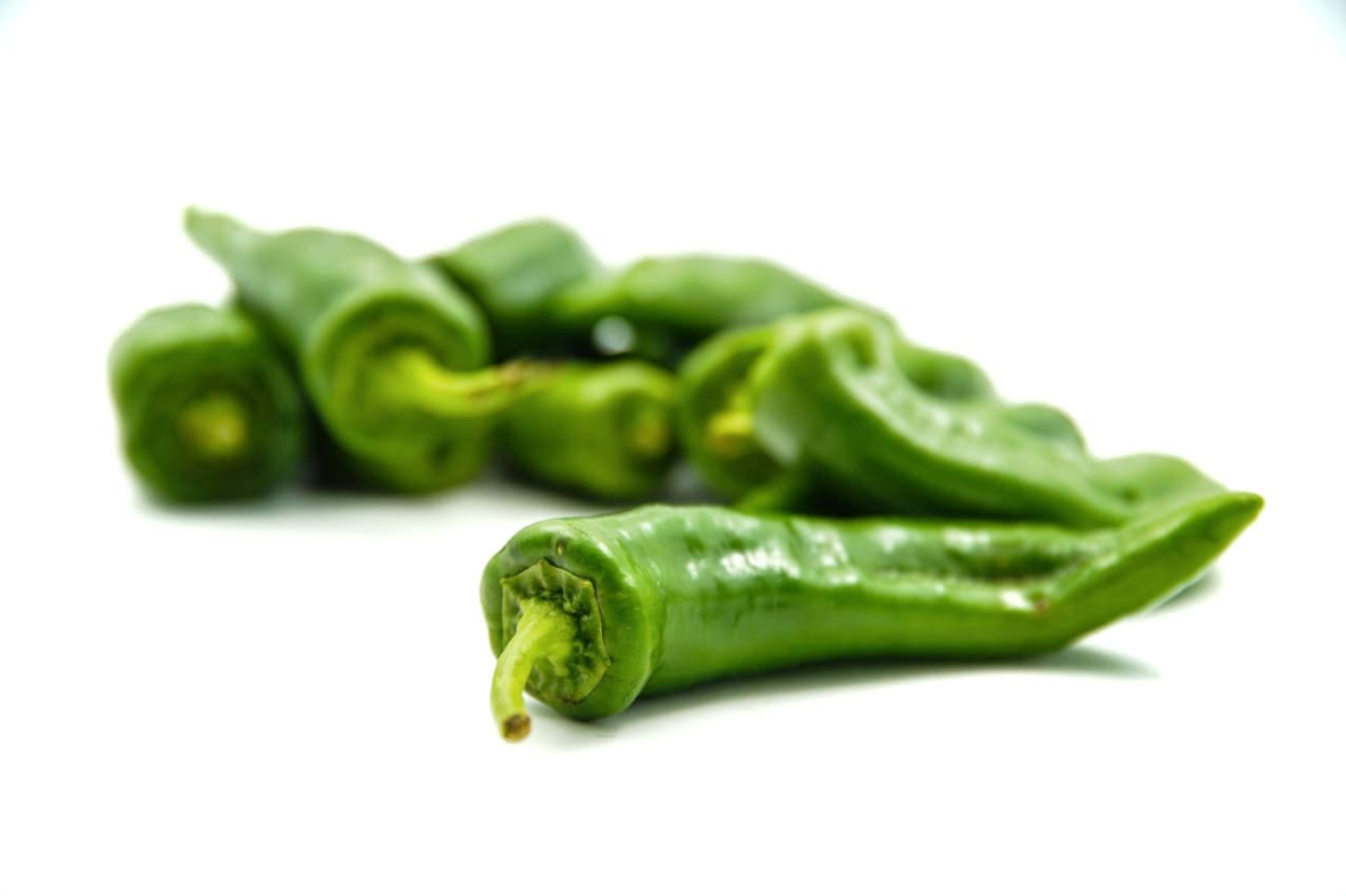 فلفل الخرج أخضر
