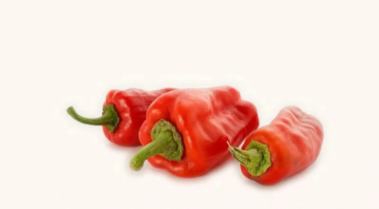 فلفل شقراء أحمر