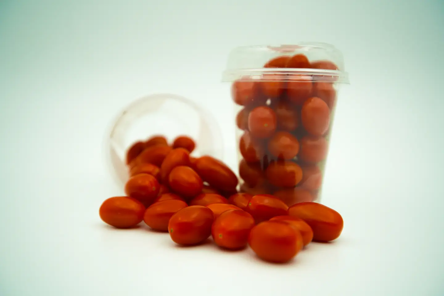 طماطم كاسات استرالي