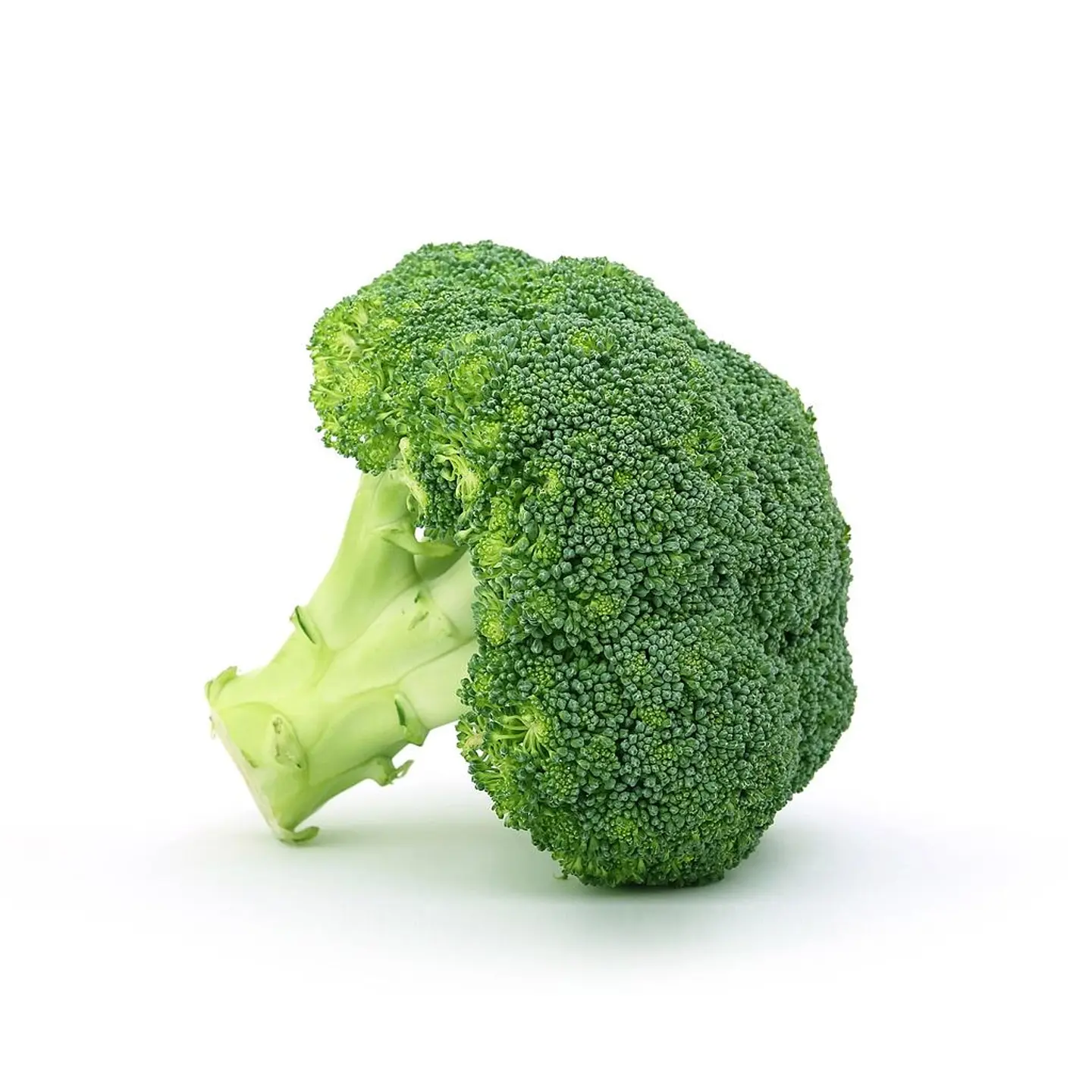 بروكلي استرالي