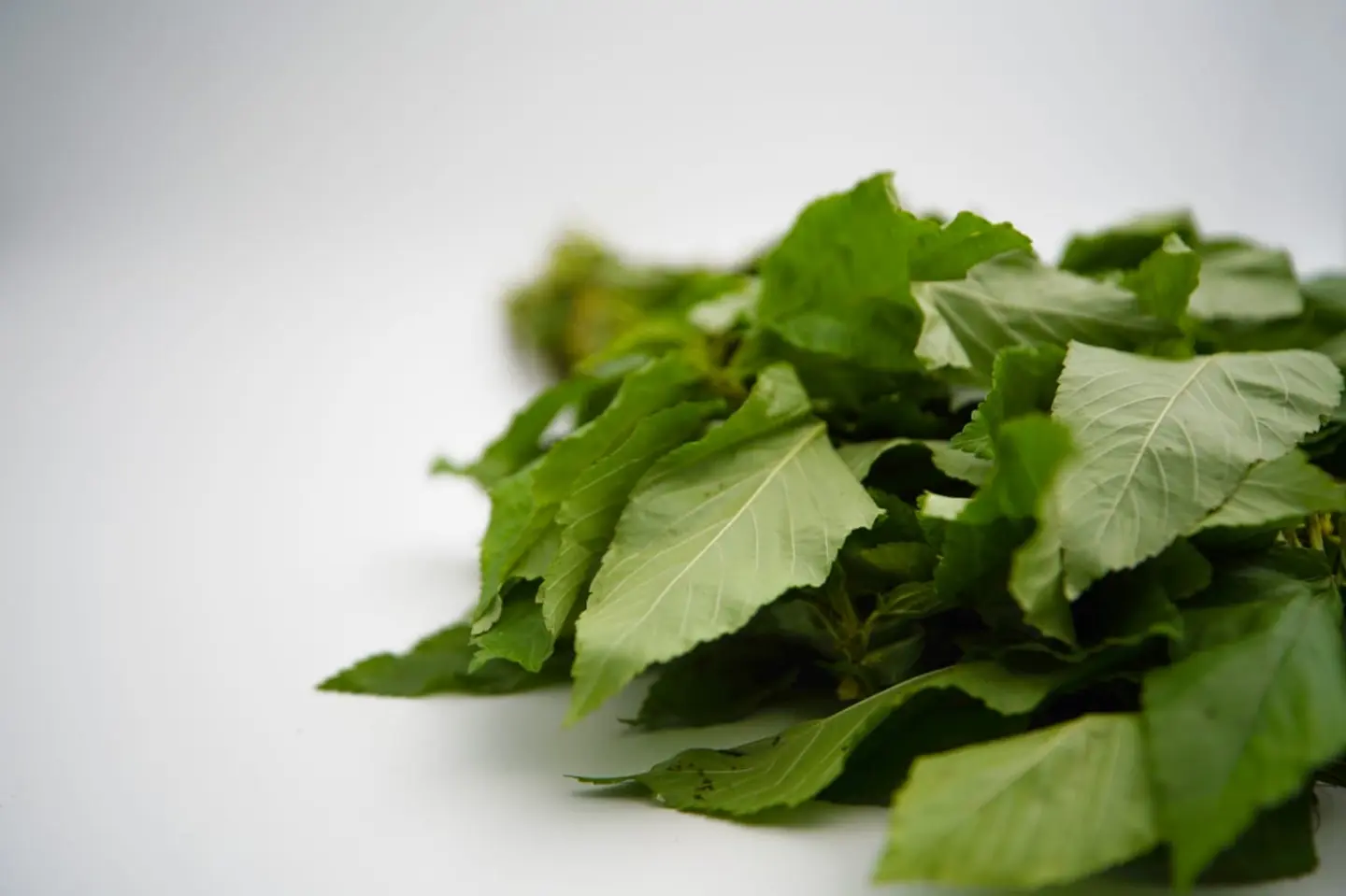 ملوخية مقطوفة