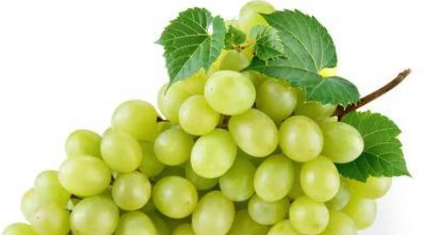 عنب أخضر