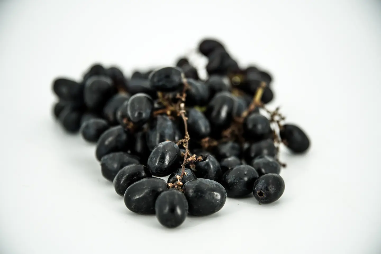 عنب أسود نباتي