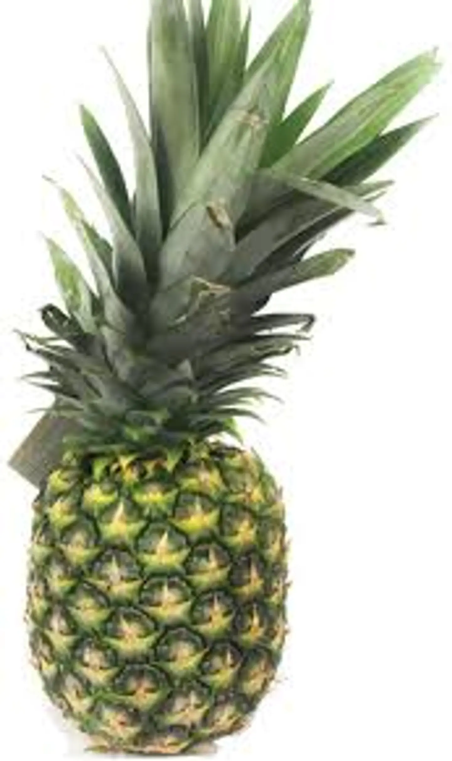 اناناس عادي