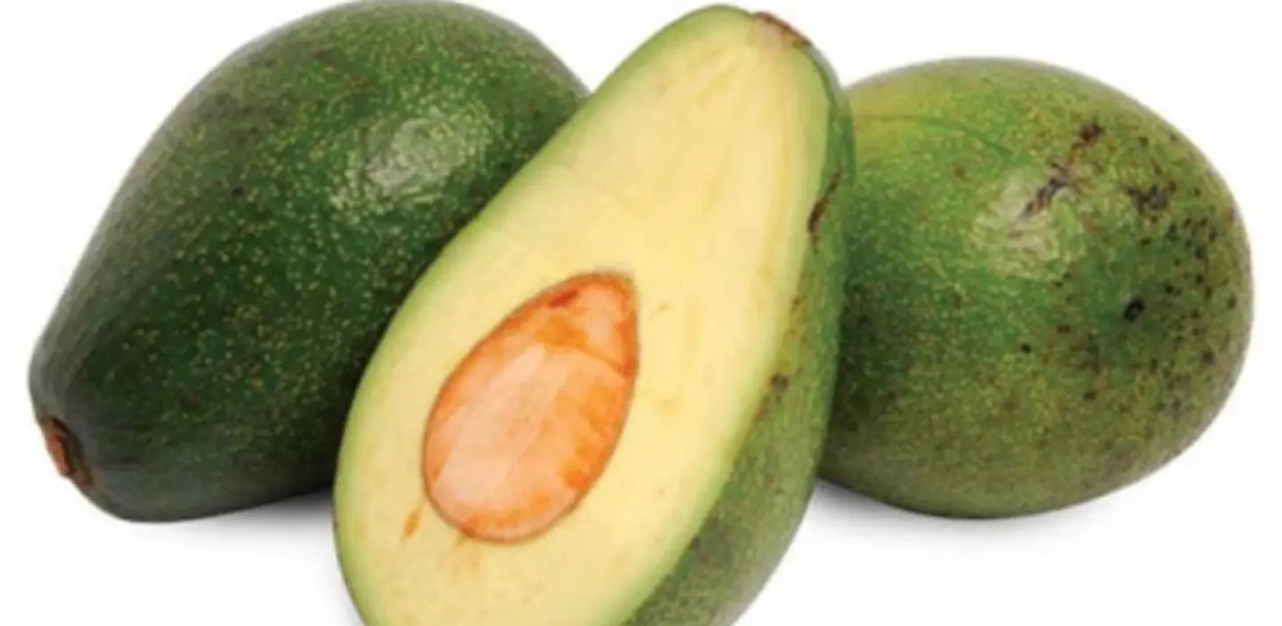 أفوكادو