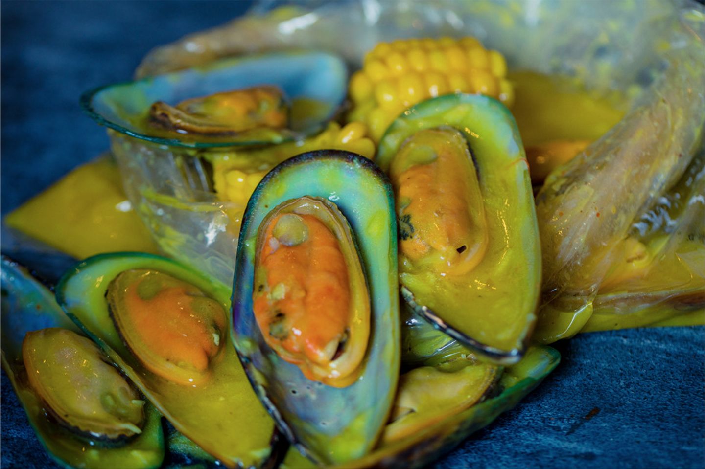 Oyster