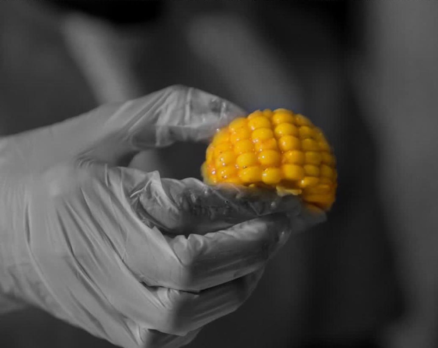 Corn