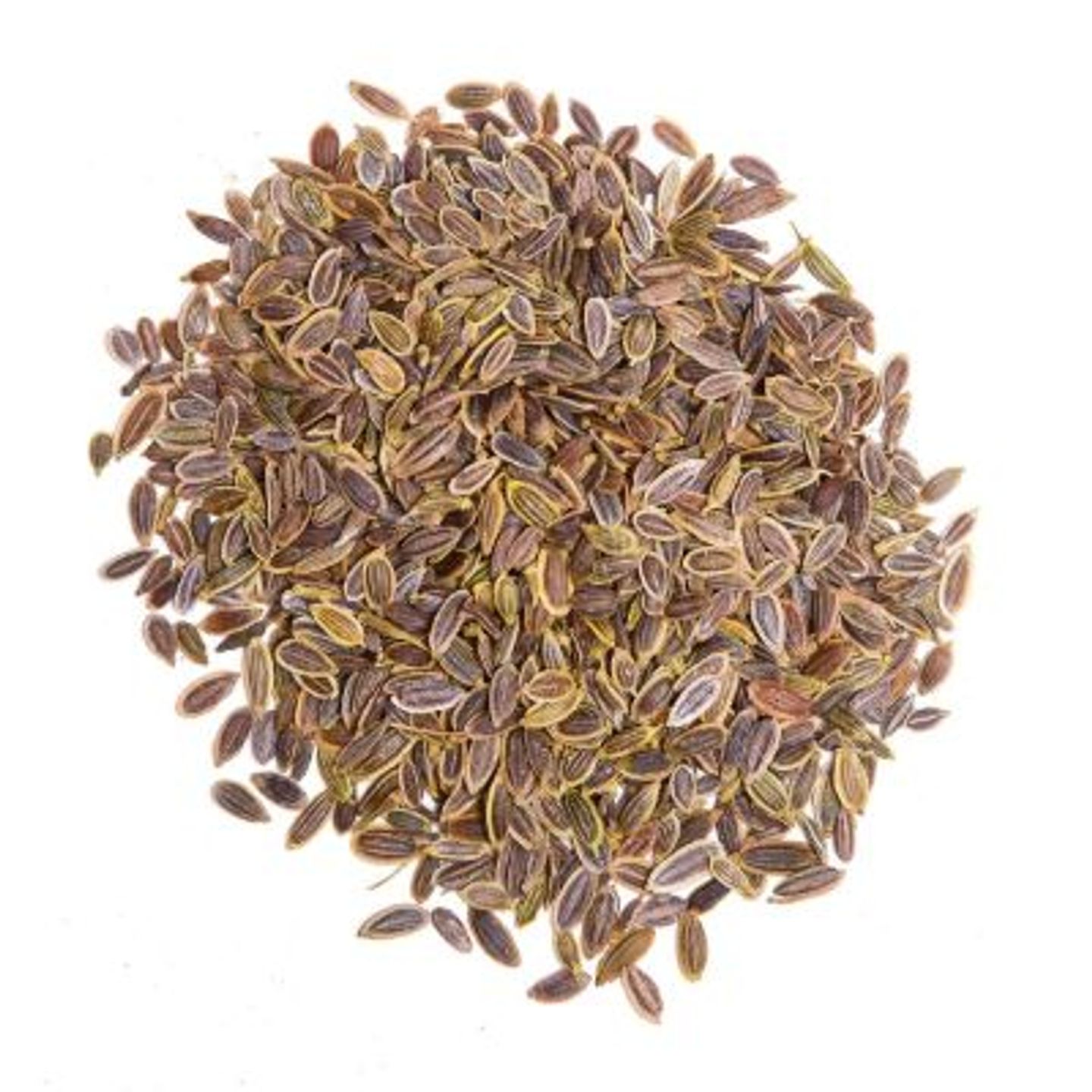 Dill Seed