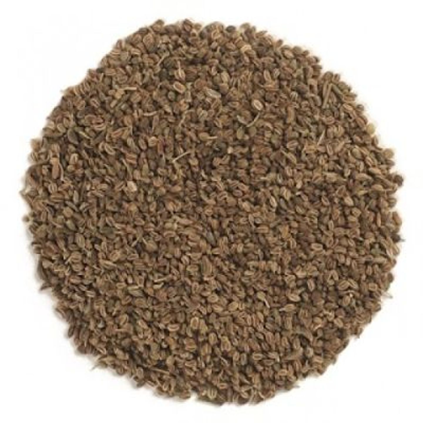 Celery Seed