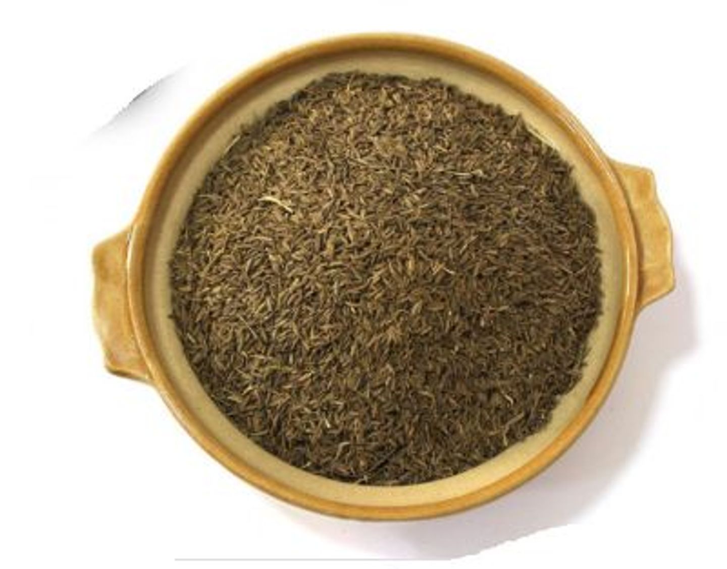 Syrian Cumin