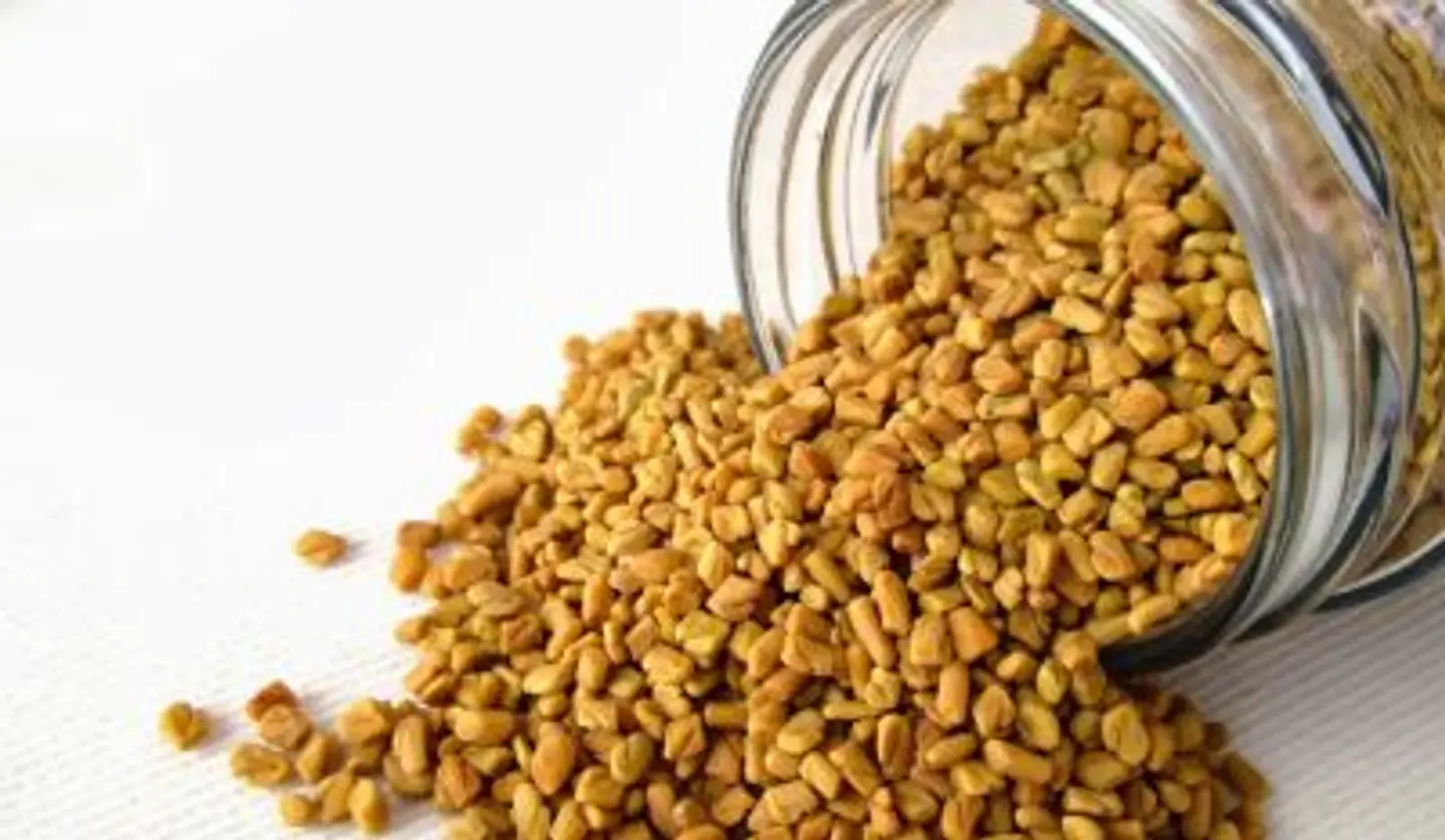 حلبة هندي اصفر