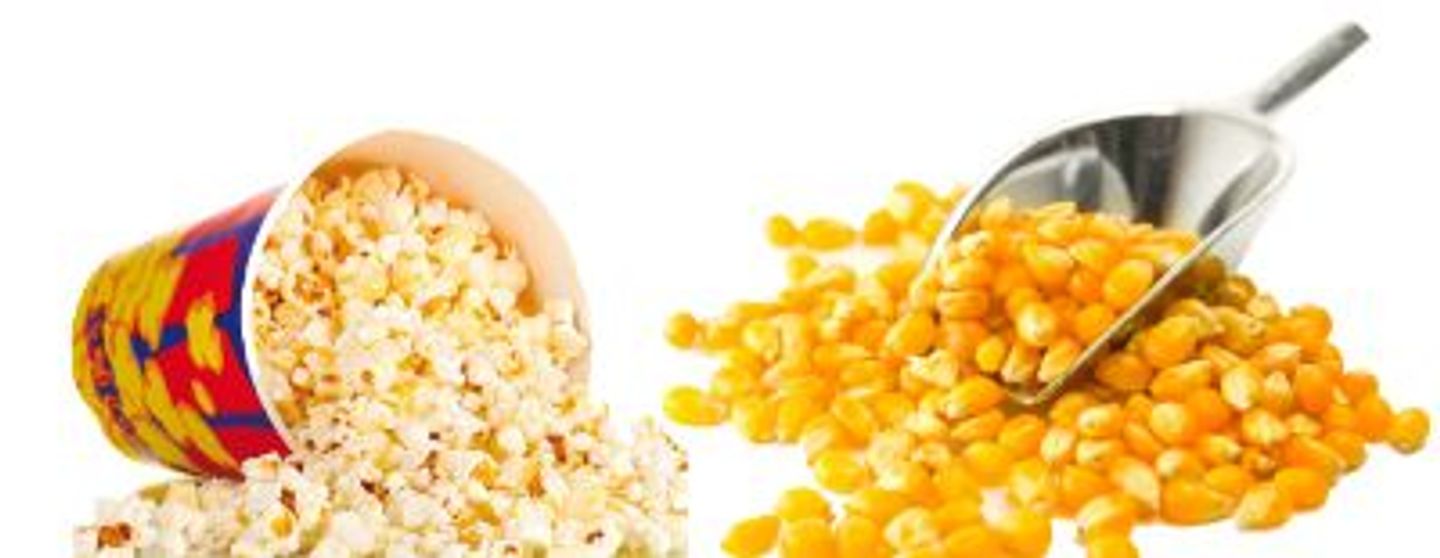 Corn Popcorn