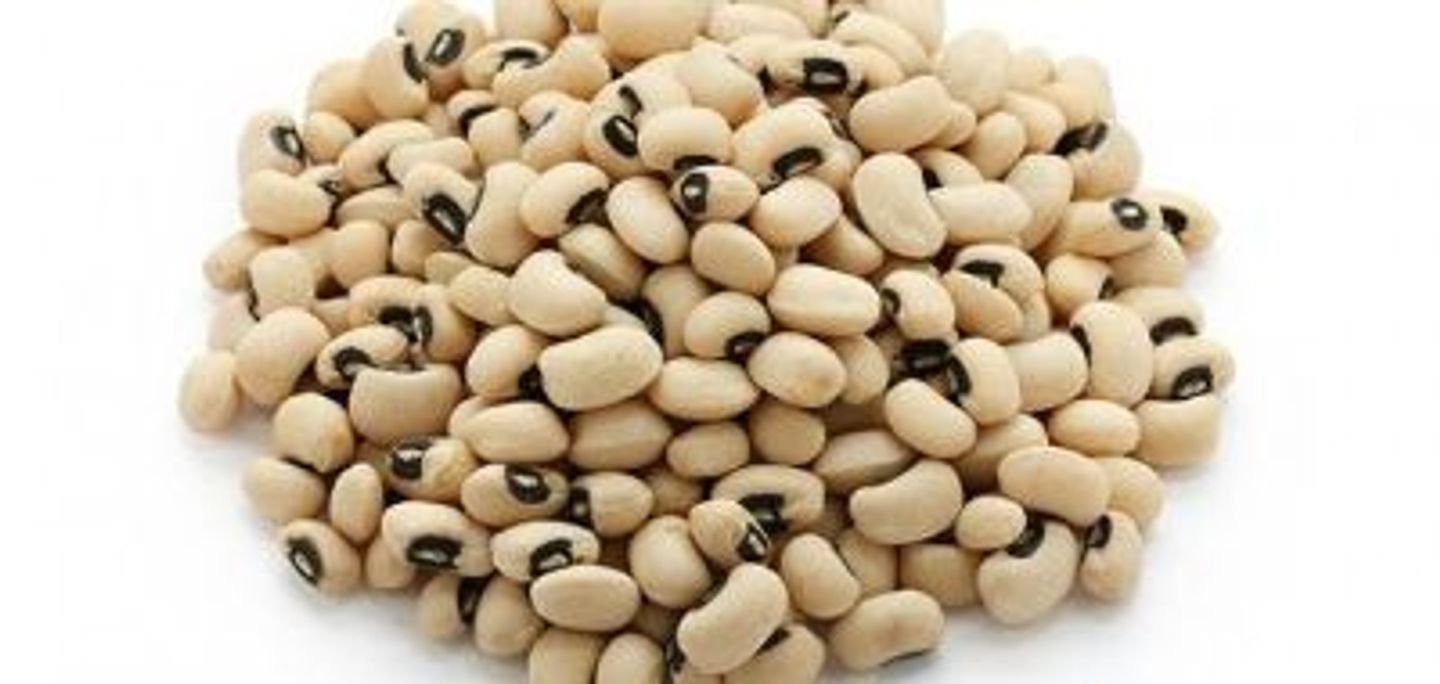 Black Eyed Pea Loubeh