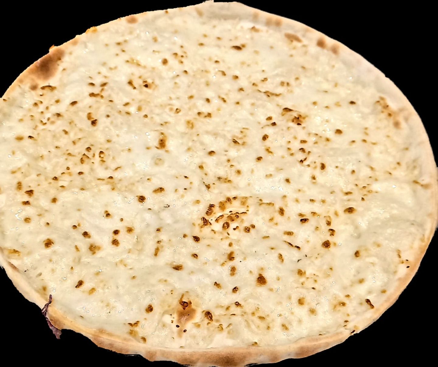 جبنة موزريلا