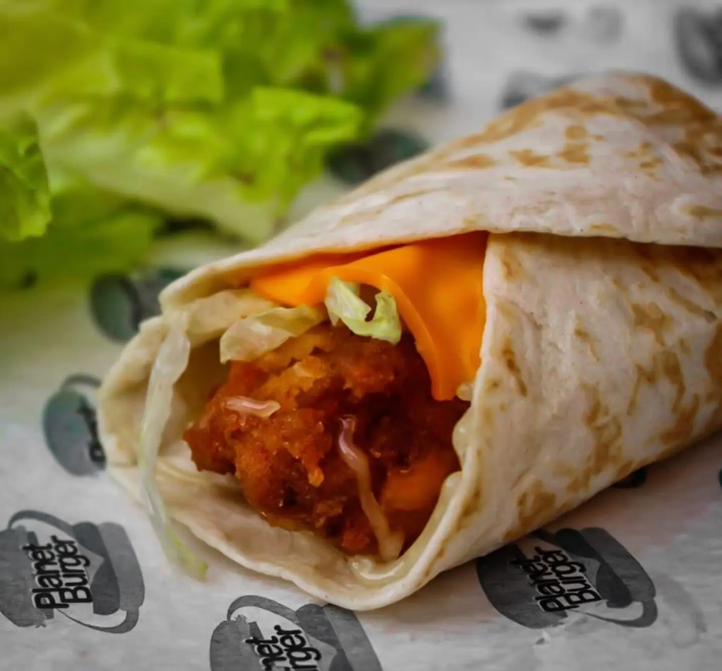 تويسترالدجاج