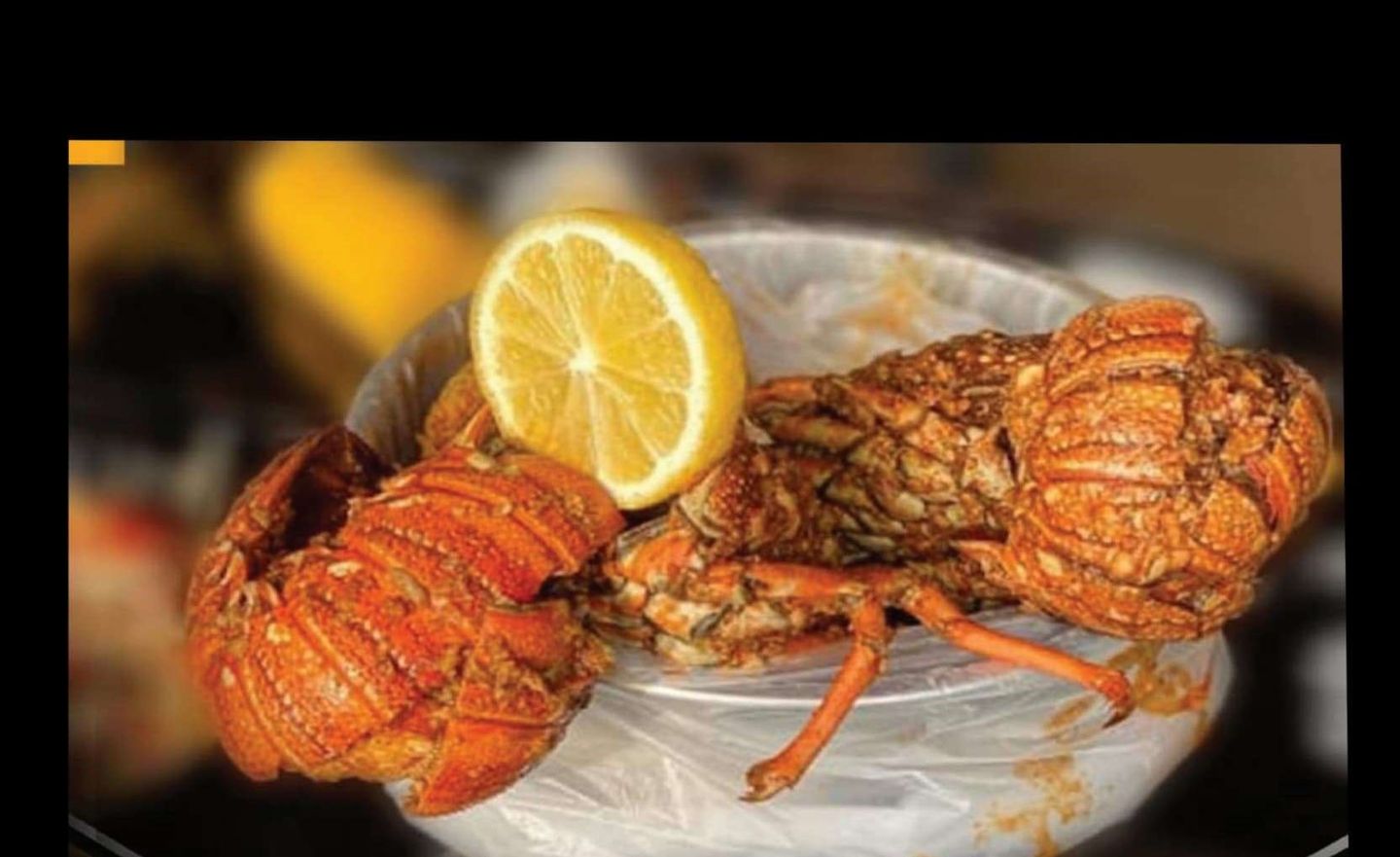 Cajun Labster