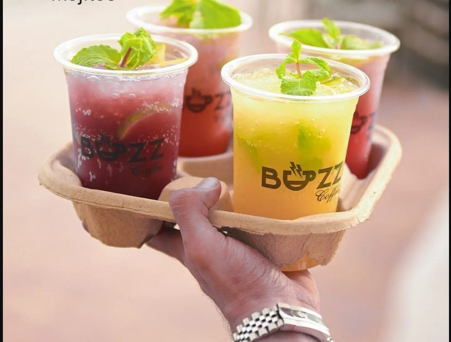 Raspberry Mojito