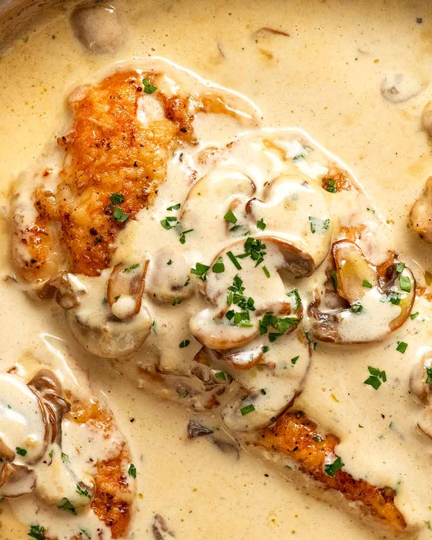 Chicken Slice With Mushroom Cream