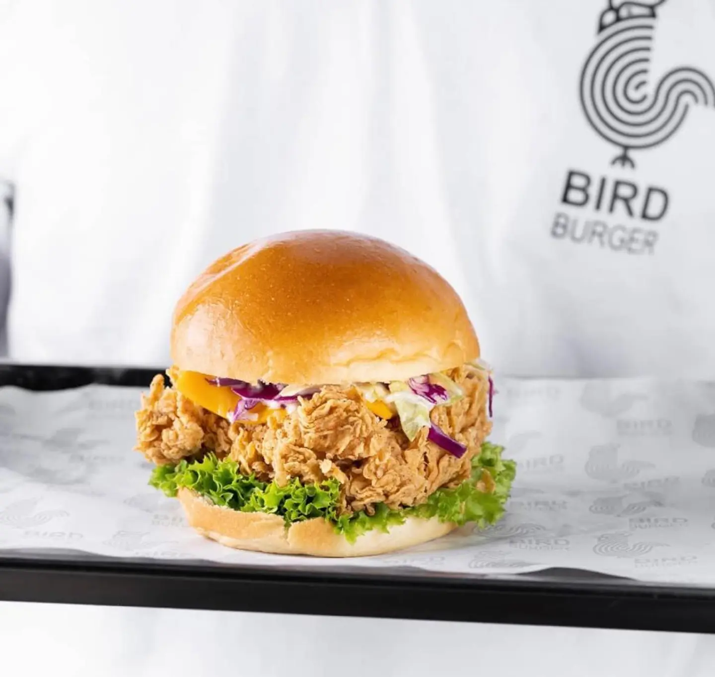Bird Burger