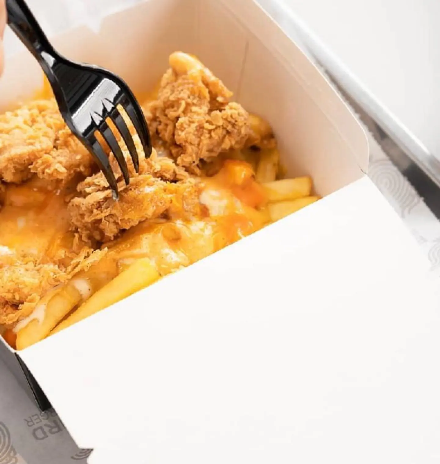 Bird Fries