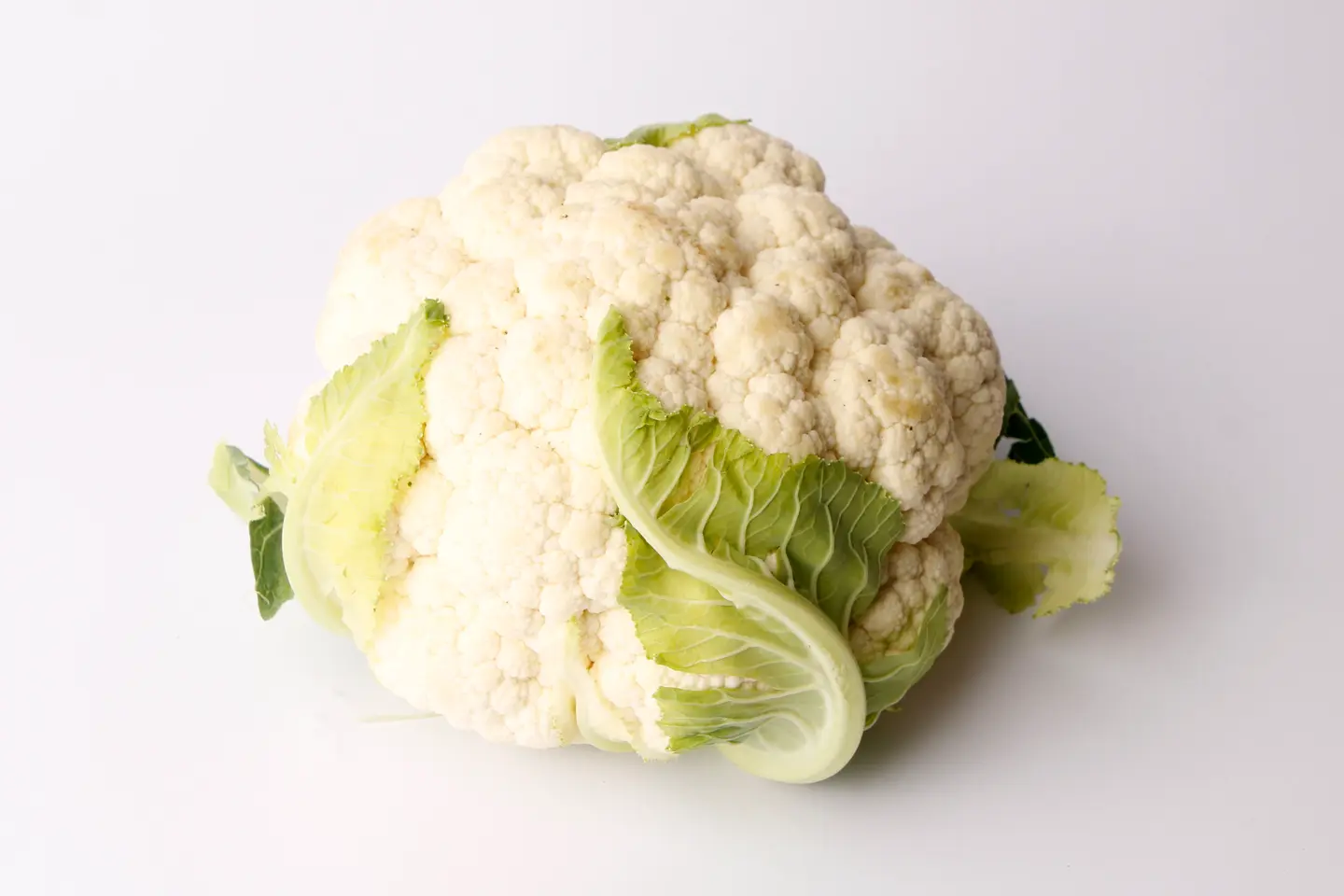 زهرة