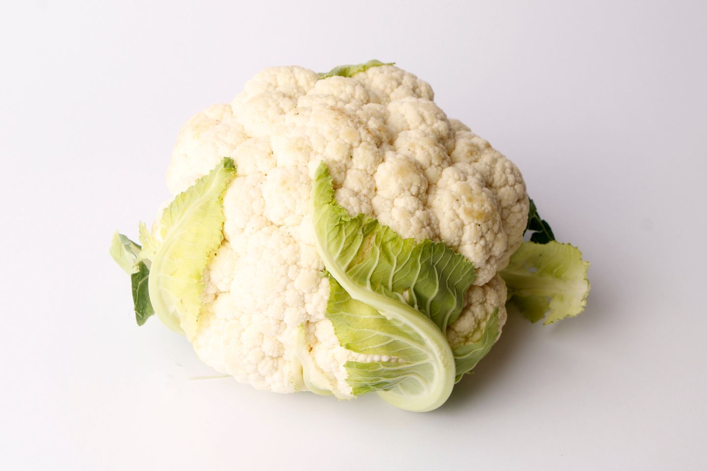 زهرة