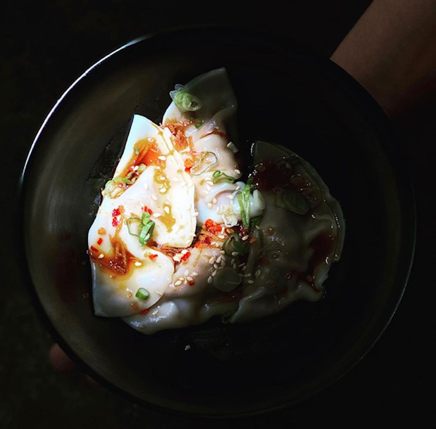 Wontons