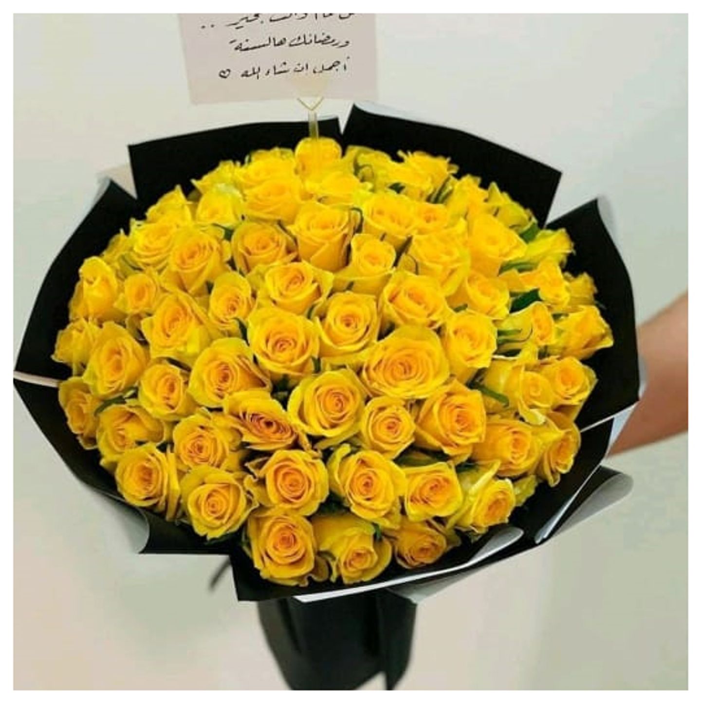 بي كيو 0040