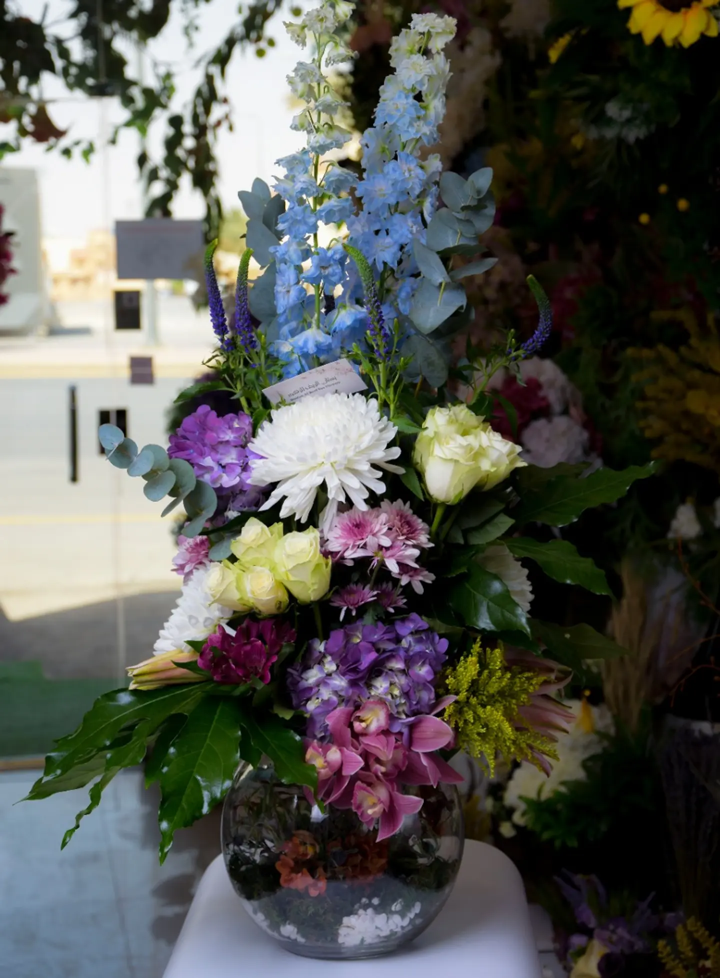 You Have Won Serenity