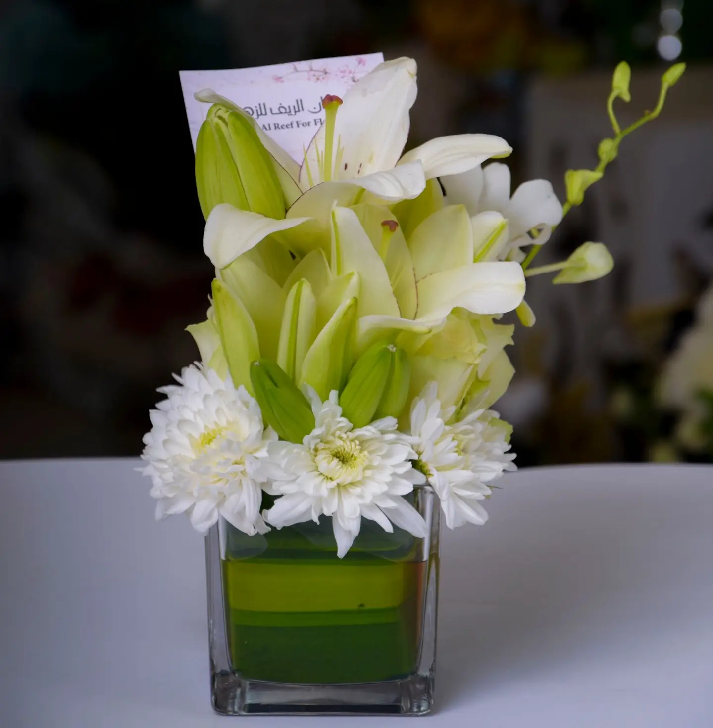 Vasa Rose With Beauty