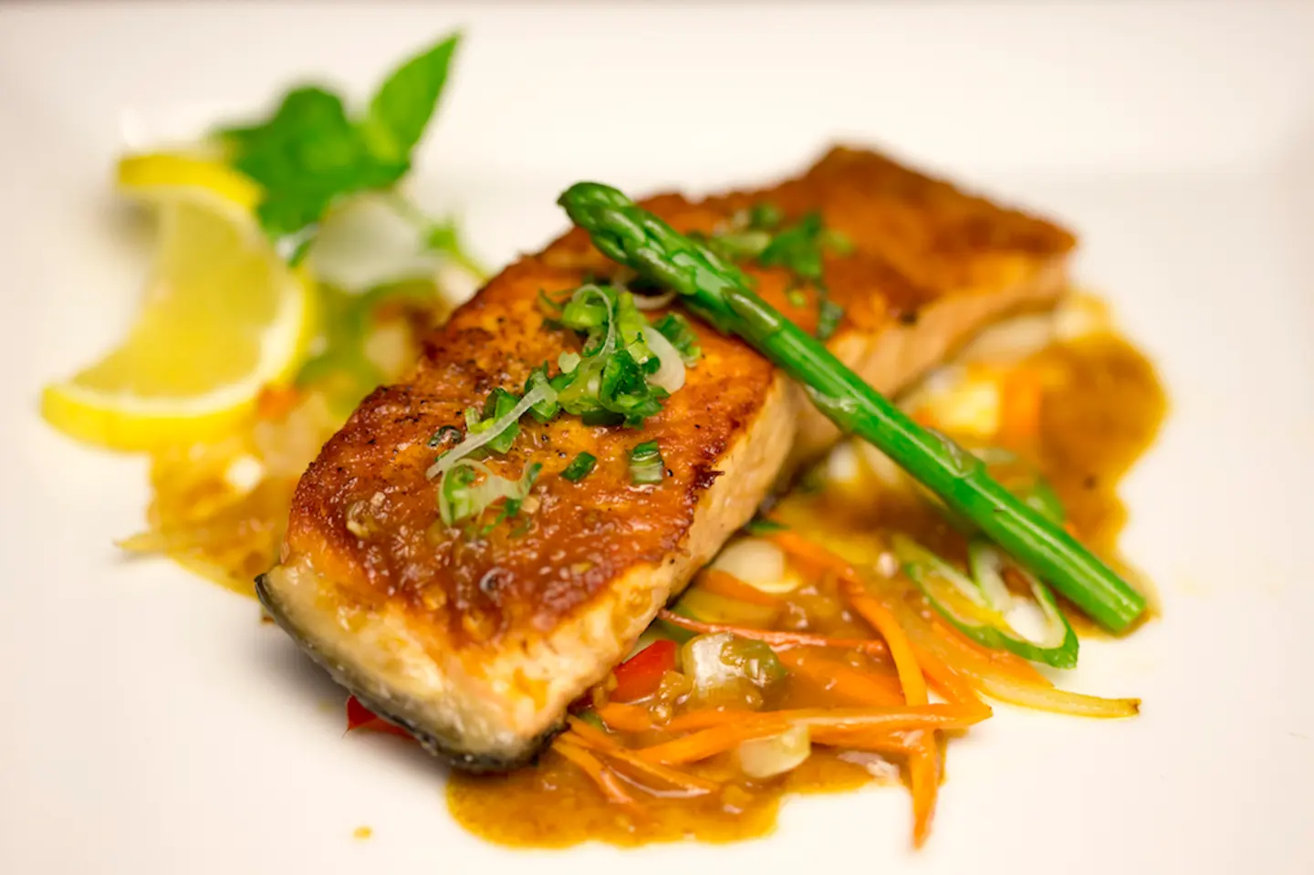 Salmon Hibashi