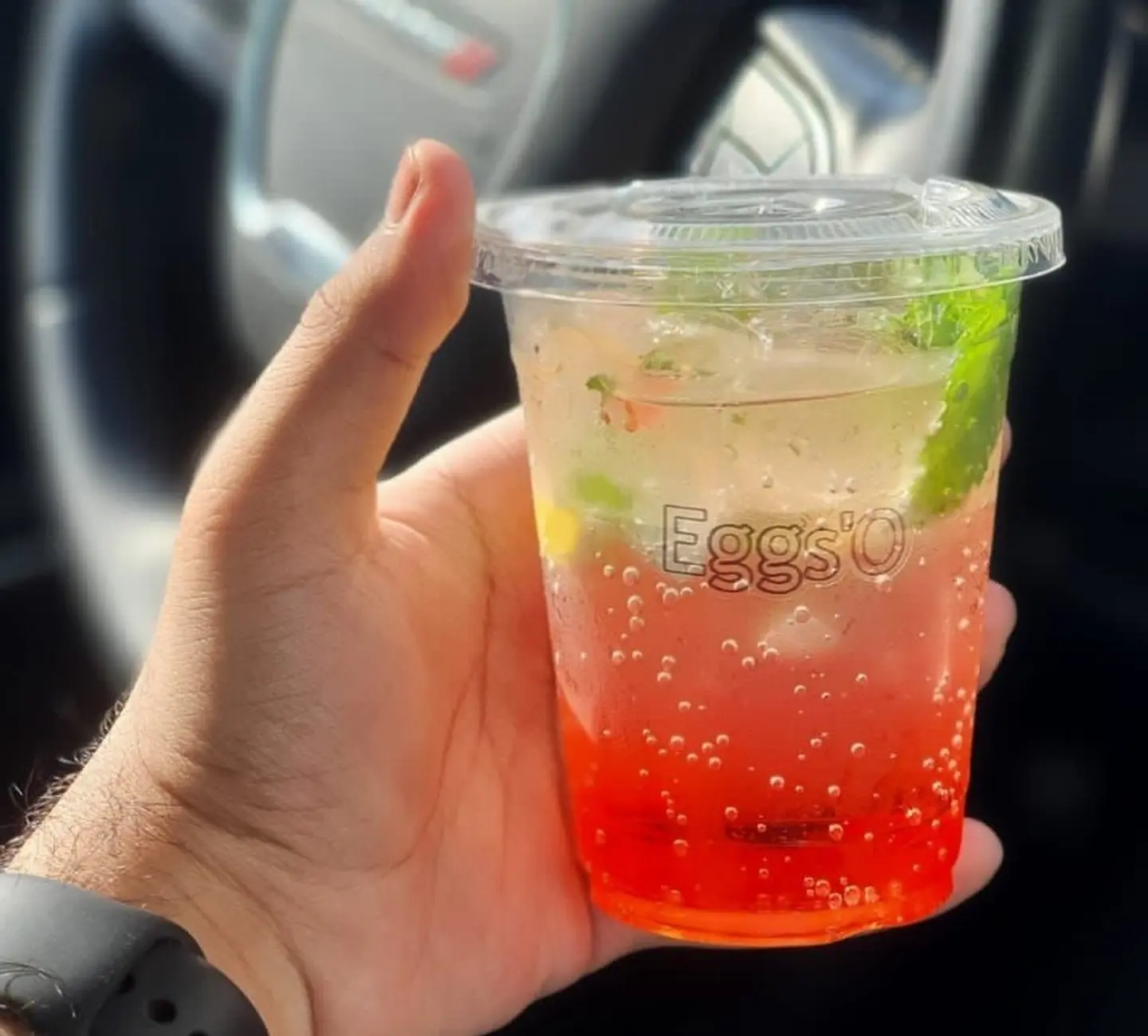 Raspberry Mojito