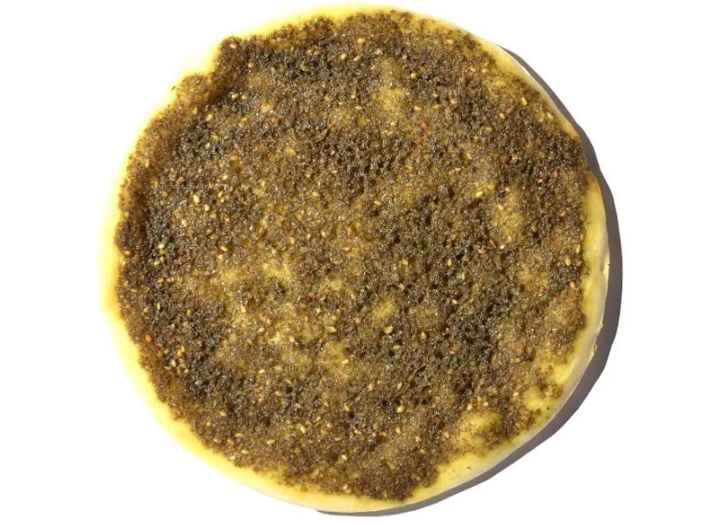 Thyme - Small